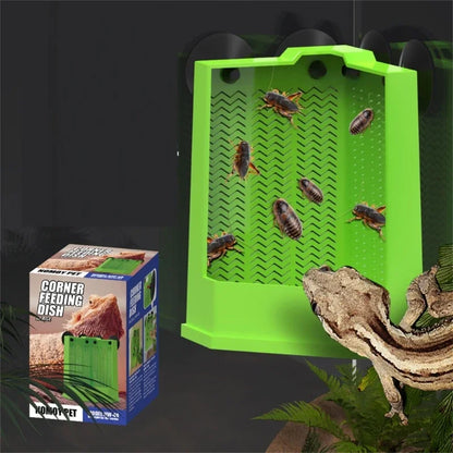 Reptiles Feeder Boxes for Terrariums Corner