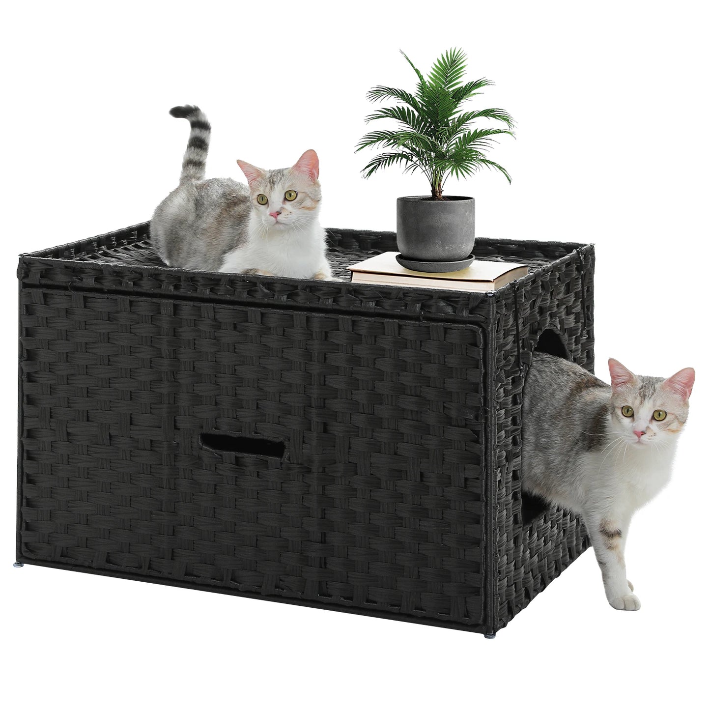 Rattan Cat Litter Box Enclosure with Taller Doorway