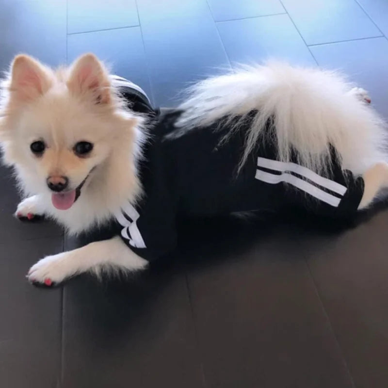 Black 4-Legged Dog Hoodie