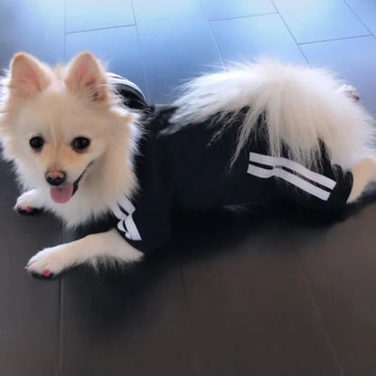 Black 4-Legged Dog Hoodie