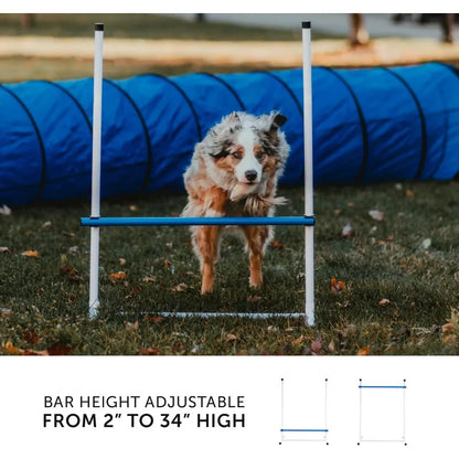Complete Starter Agility Set for Dogs