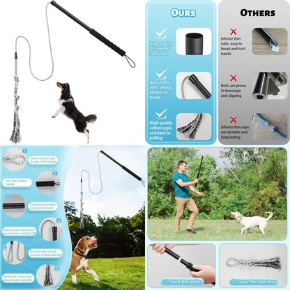 Teaser Wand for Small Medium Dogs