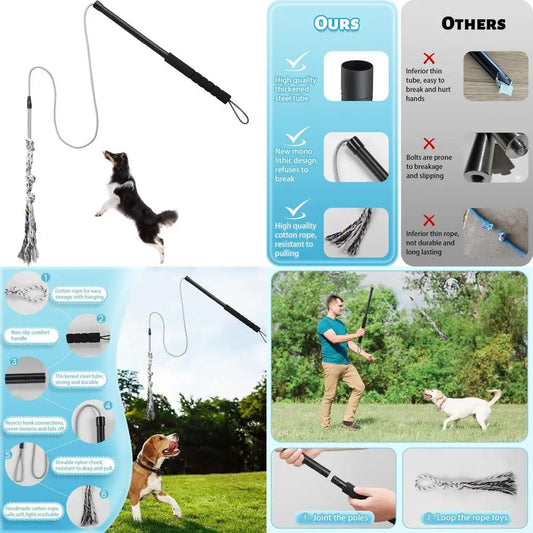 Teaser Wand for Small Medium Dogs