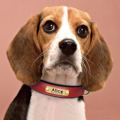 Personalized Leather Custom Dog Collar