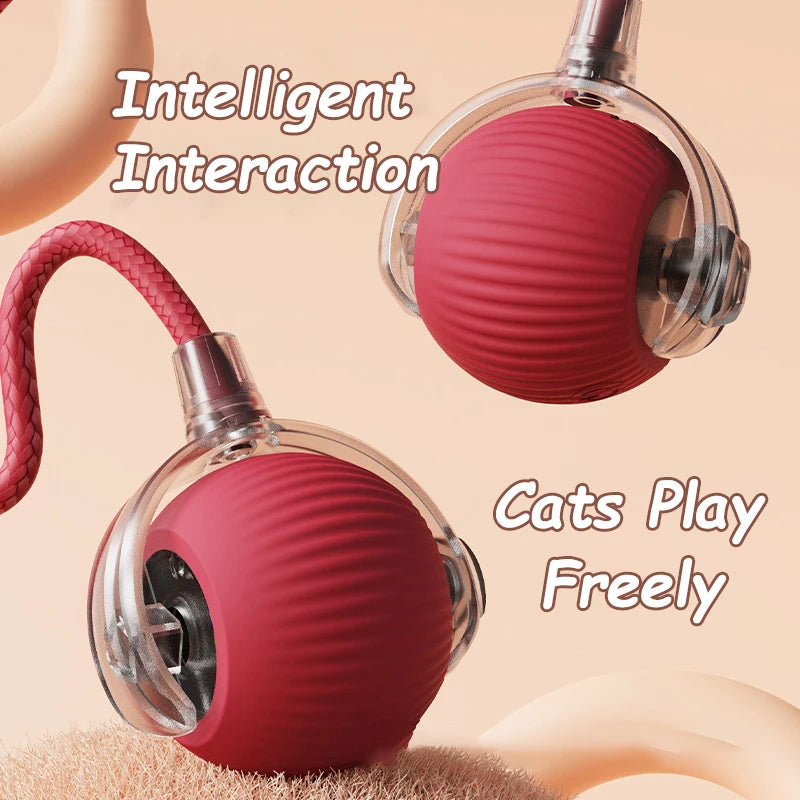 Interactive Rolling Ball Toys for Cats