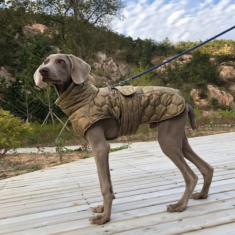 Large Breed Winter Dog Snowsuit