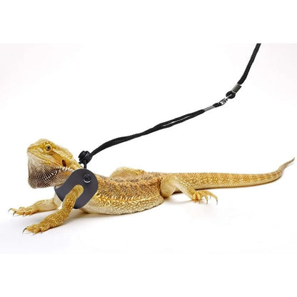 Bearded Dragon Harness and Adjustable Leash