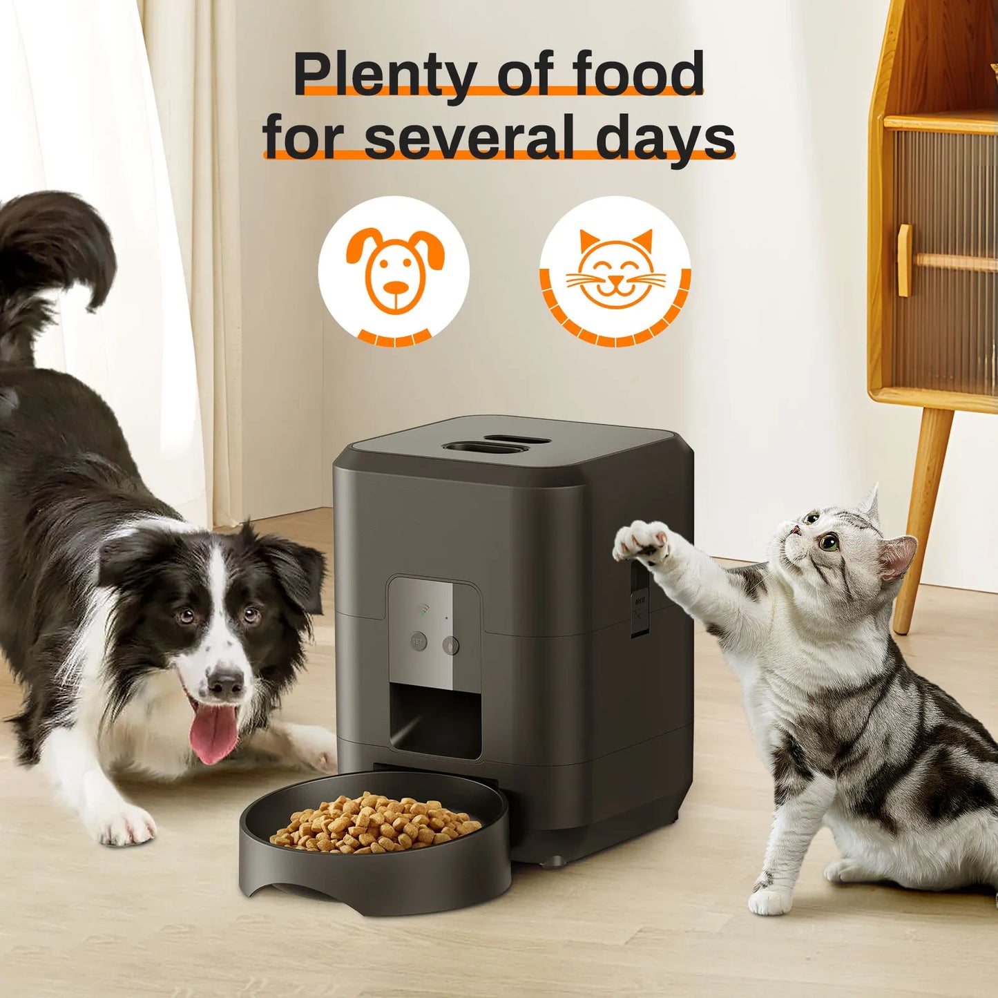 Slow Food Dispenser for Cat or Dog