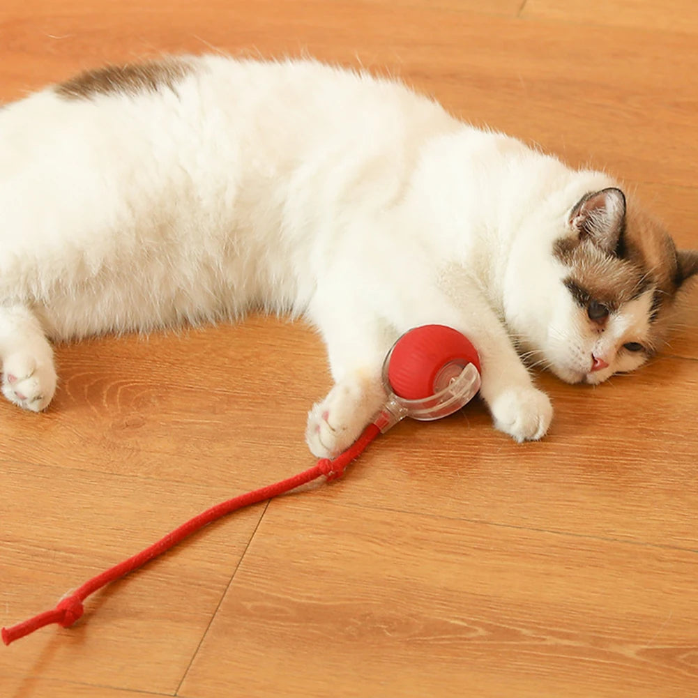 Automatic Rolling Interactive Ball Toy