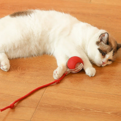 Automatic Rolling Interactive Ball Toy