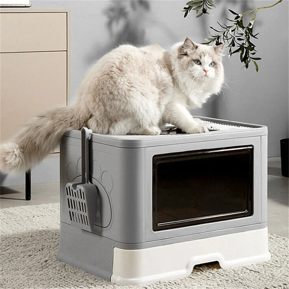 Large Cat Litter Box