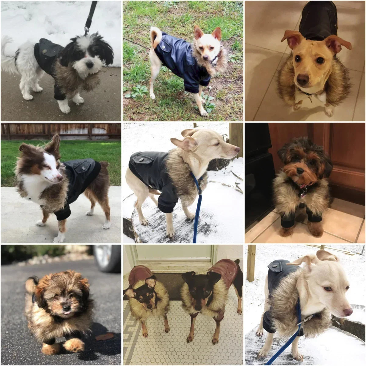 Stylish Leather Winter Jacket