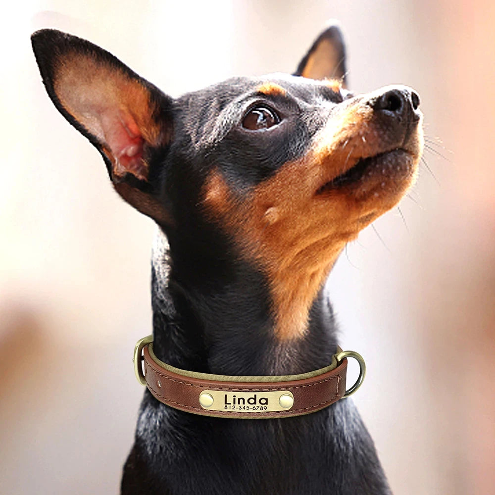 Personalized Leather Custom Dog Collar