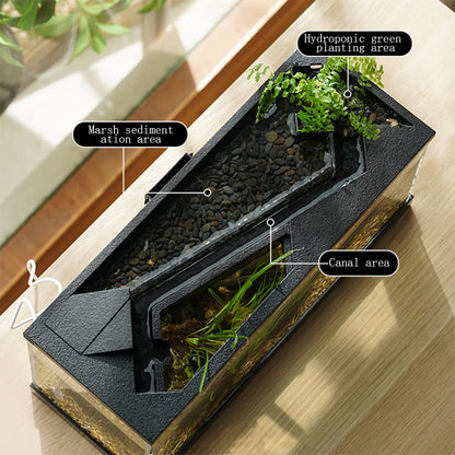 Desktop Fish Tank for Shrimp Small Fish Guppy