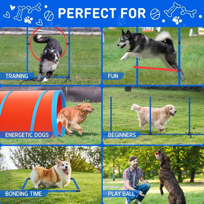 Agility Obstacle Course for Dogs