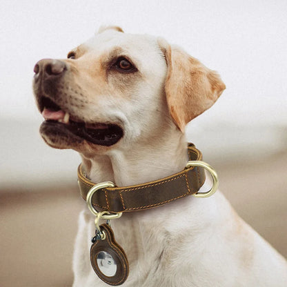Luxury Genuine Leather "Crazy Horse" Dog Collar with Air-Tag