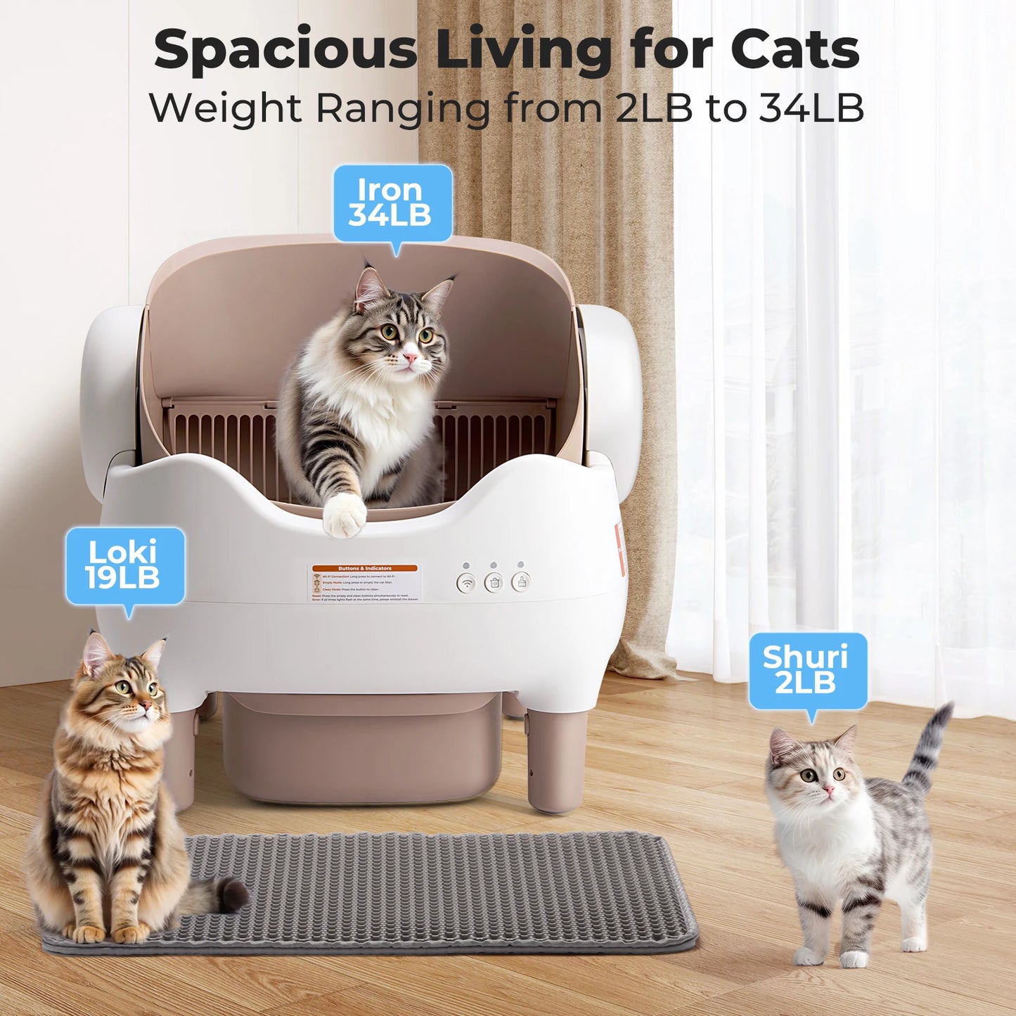 Large Self Cleaning Litter Box