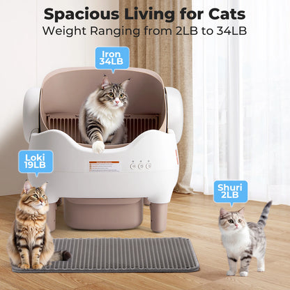 Large Self Cleaning Litter Box