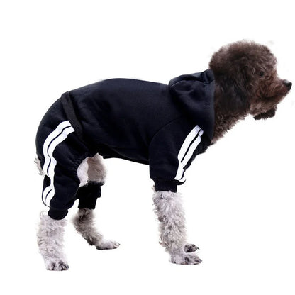 Black 4-Legged Dog Hoodie