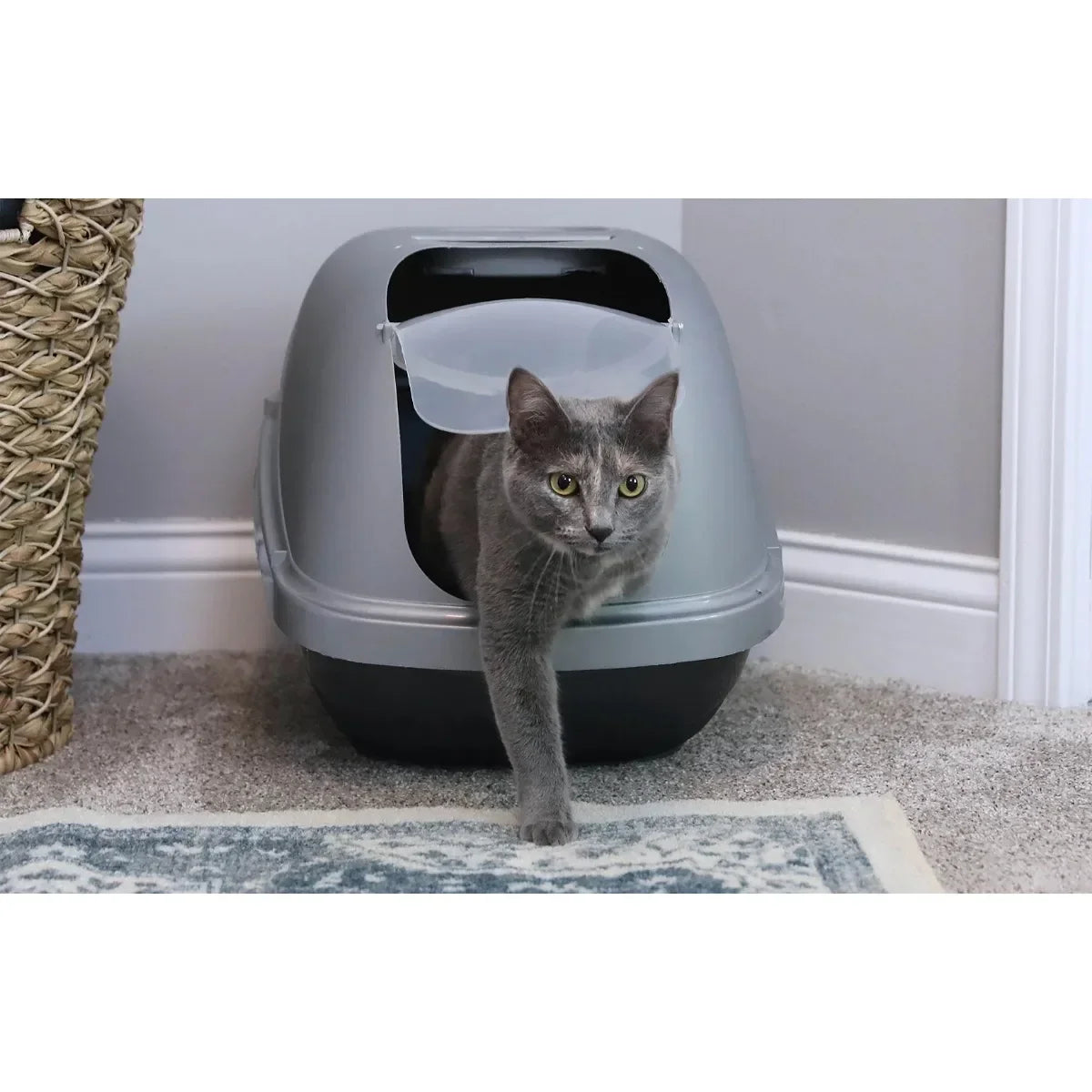 Hooded Cat Litter Box with Door
