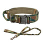 Collar for Large Dog