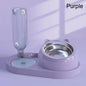 2-in-1 Automatic Cat Feeder