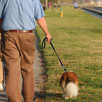 Dog Leash for Halti Training