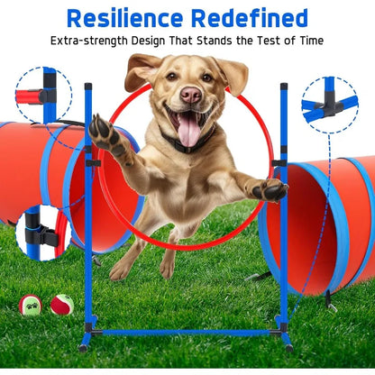 Agility Obstacle Course for Dogs