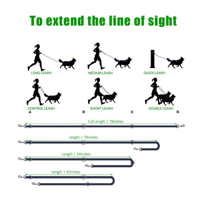 Dog Leash for Halti Training