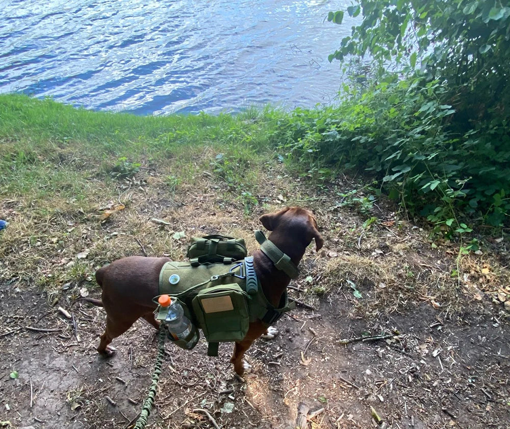 Military Style Large Dog Harness Collar