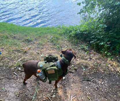 Military Style Large Dog Harness Collar