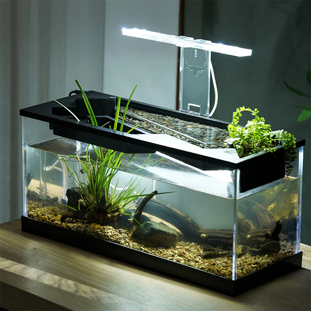 Desktop Fish Tank for Shrimp Small Fish Guppy