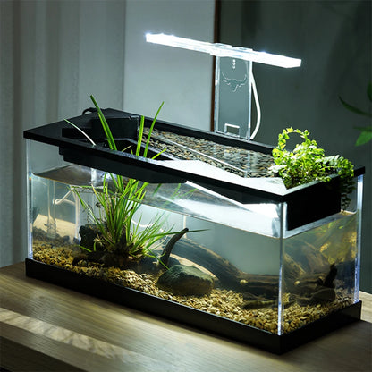 Desktop Fish Tank for Shrimp Small Fish Guppy