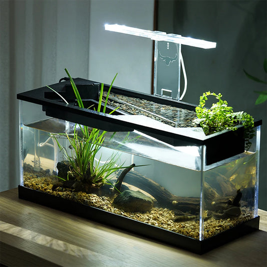 Desktop Fish Tank for Shrimp Small Fish Guppy