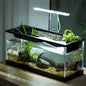 Desktop Fish Tank for Shrimp Small Fish Guppy