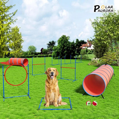 Agility Obstacle Course for Dogs
