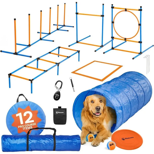 Backyard Agility Course for Dogs