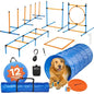 Backyard Agility Course for Dogs