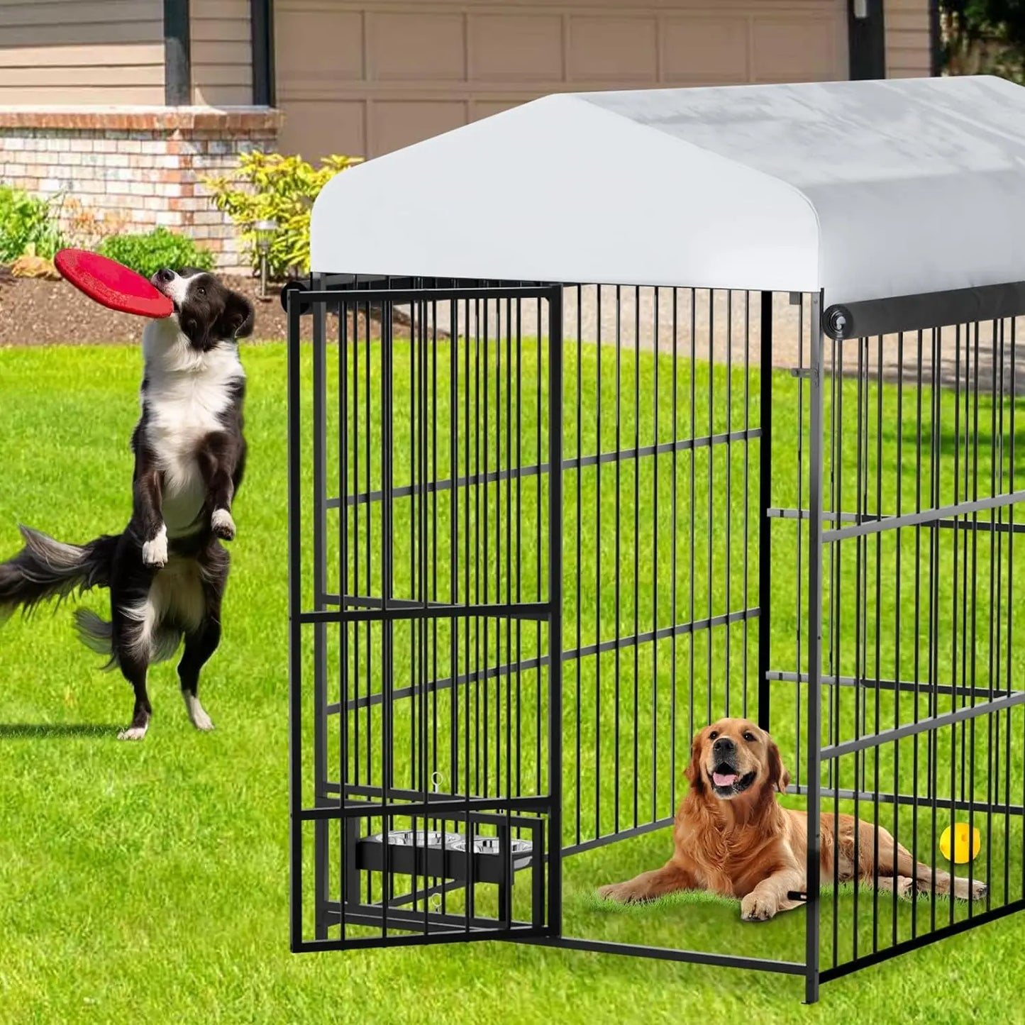 Large Outside Dog Kennel