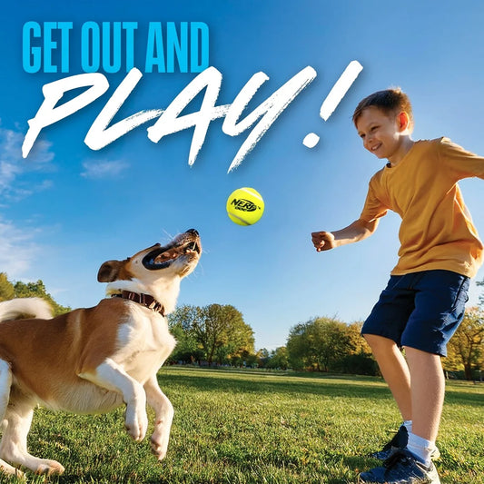2 Inch Rubber Squeaky Tennis Balls For Dogs