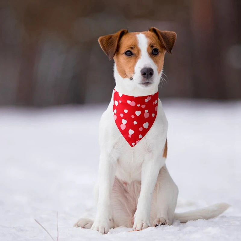 1PC Dog Bandana