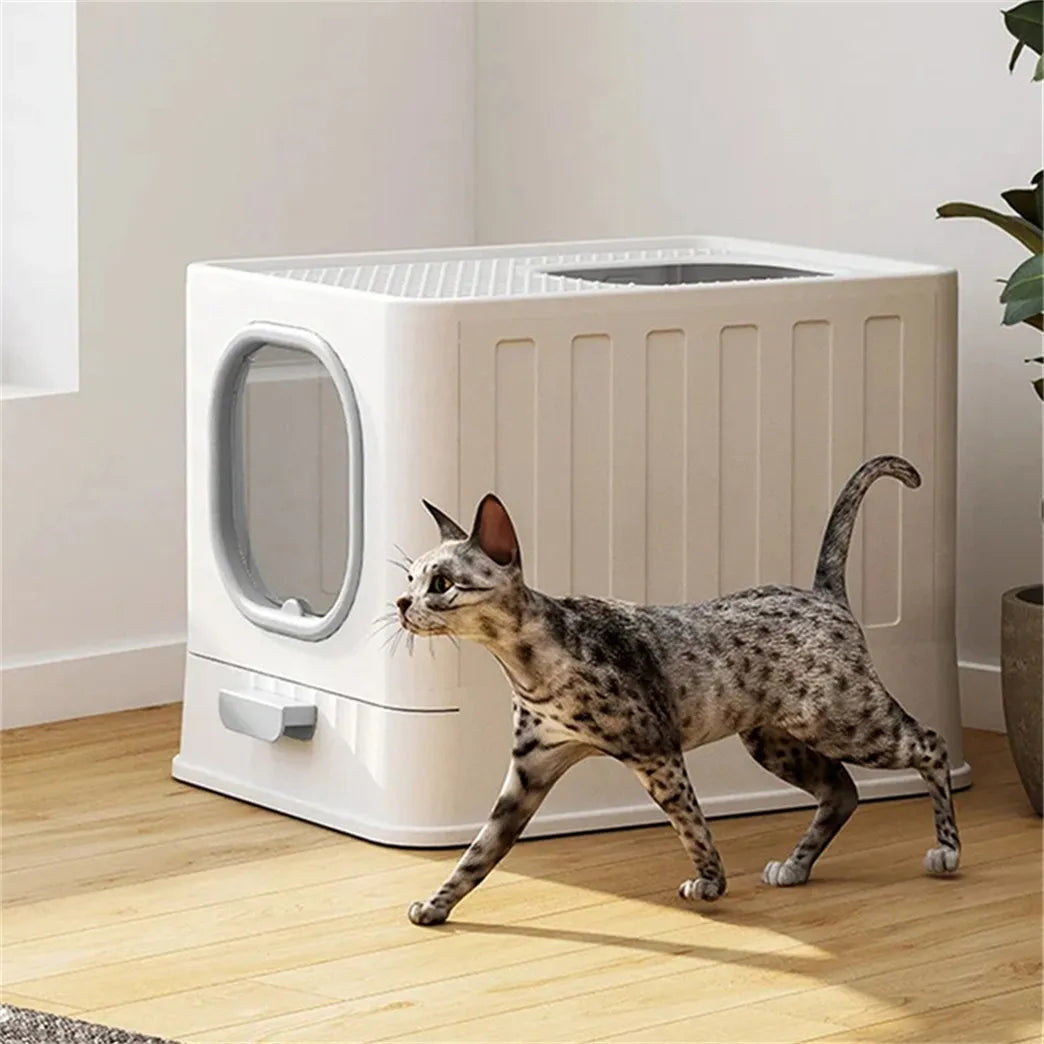 Large Cat Litter Box