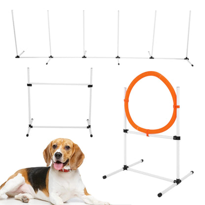 Obstacle Course for Dog
