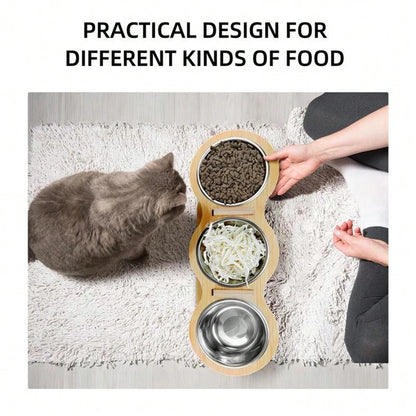 Raised Food Bowl with 15-Degree Tilt