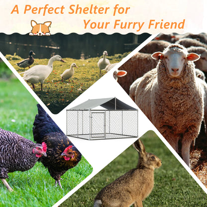 Large Outdoor Dog Kennel