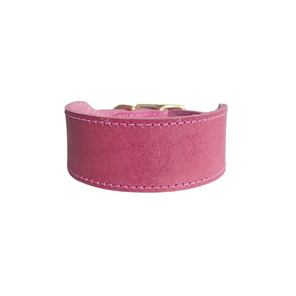 Extra Wide Tapered Dog Collar for Long Neck