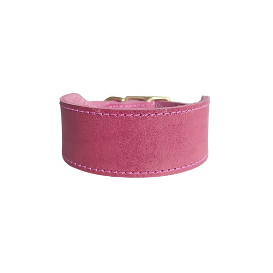 Extra Wide Tapered Dog Collar for Long Neck