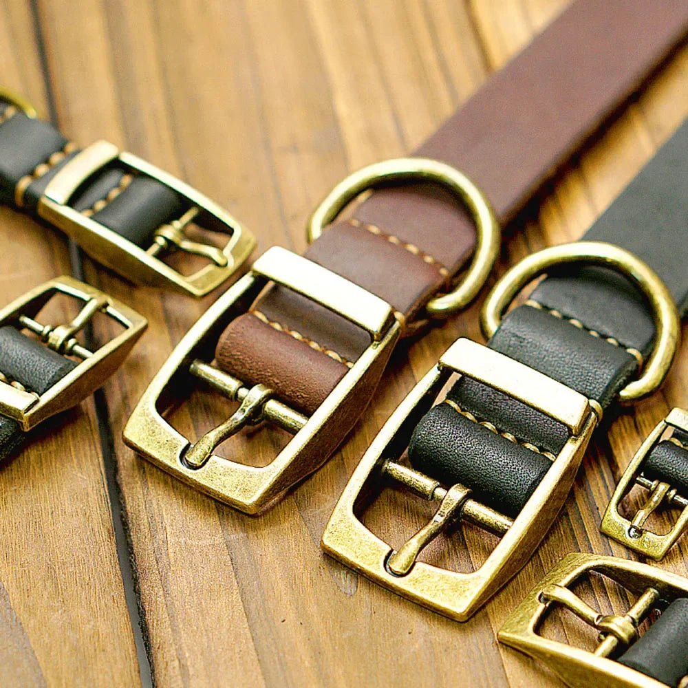 Classic Genuine Leather Dog Collar