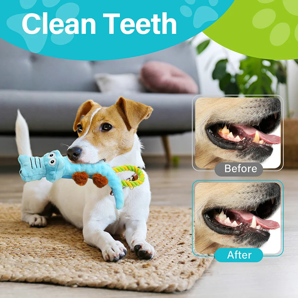 Alligator Tug of War Toys for Dogs
