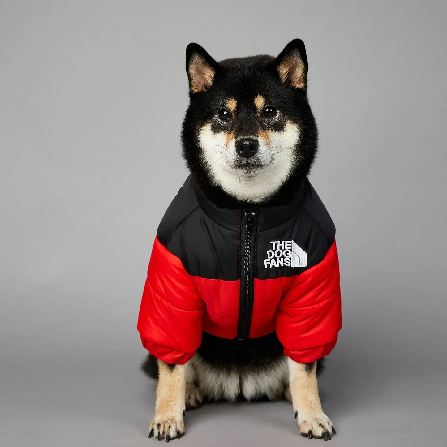 Down-Filled Jacket for Small Medium Dogs